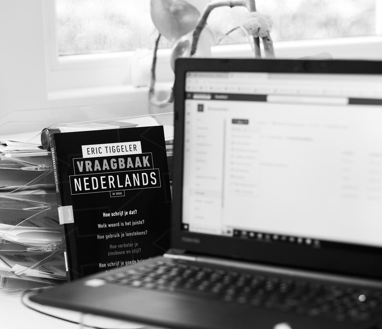 Vier voordelen van vertaalsoftware